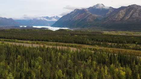 sobrevuelo aéreo de las copas de los árboles del bosque de abetos en portage vale con vistas a las majestuosas montañas philip smith de la cordillera de brooks en alaska