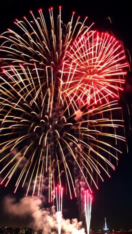 espectáculo de fuegos artificiales coloridos por la noche