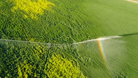 Irrigation-of-green-crops-4k