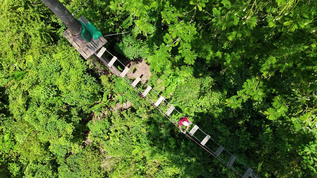Treetop Adventure Zipline Course in a Lush Forest