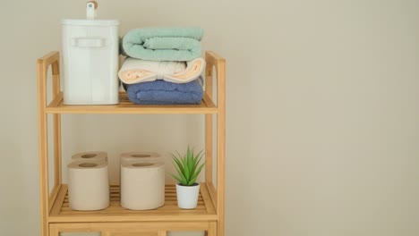 organized bathroom shelf