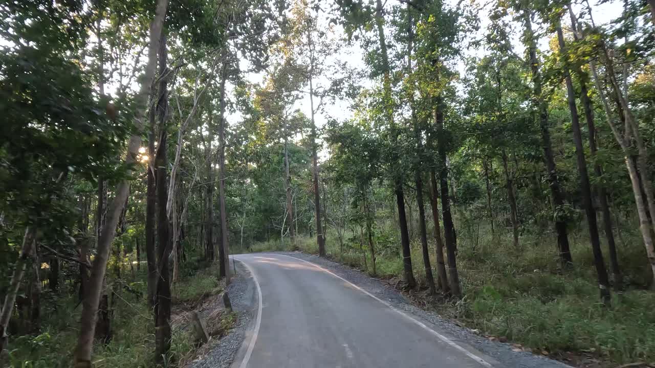Un giro panoramico lungo una strada forestale tortuosa al crepuscolo