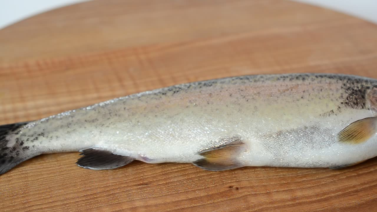 Forelle auf einem Drehteller. Fischaufnahme.