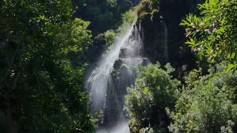 Pequeña-Cascada-En-Una-Jungla-Verde-Y-Exuberante-Que-Parece-Un-Bosque