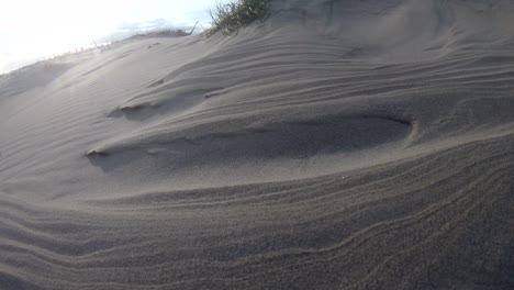 sand dunes with dune grass in the storm of the north sea, hiking dunes, dike protection, sondervig, jutland, denmark, 4k