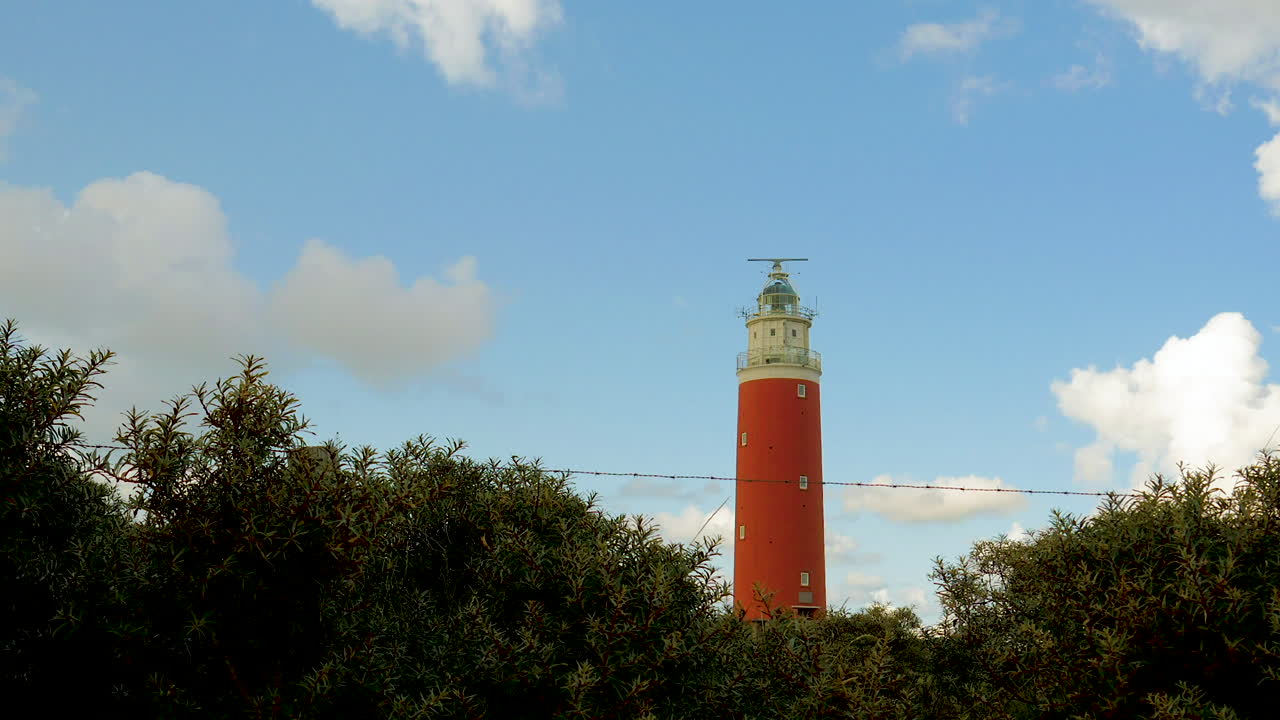 Time lapse wide angle steady shot of sea ​​buckthorn in the foreground