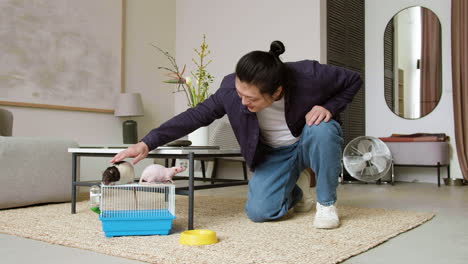 hombre alimentando mascotas