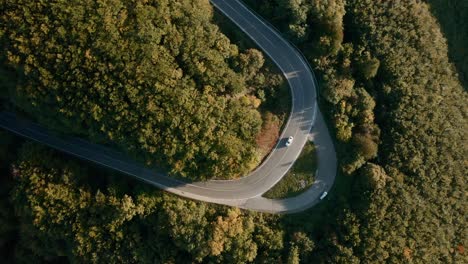 Viaje-Por-Carretera-A-Través-De-Un-Bosque-De-Colores-Otoñales