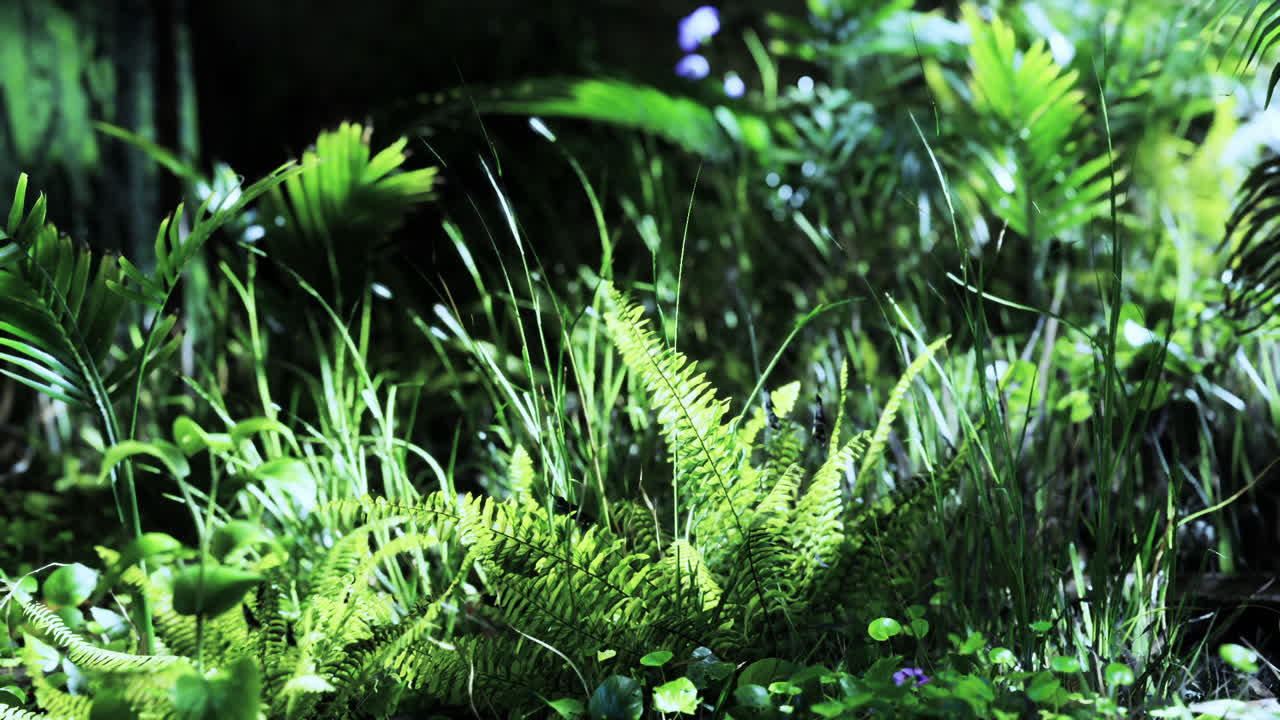 Fogliame tropicale lussureggiante con felci e vegetazione in un ambiente naturale