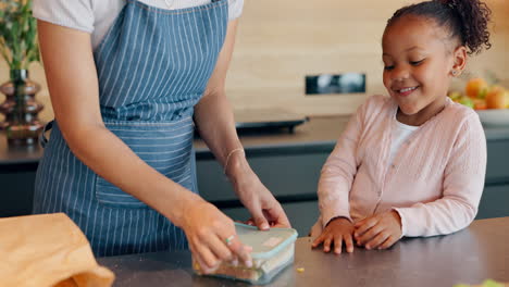mother preparing lunch for her child