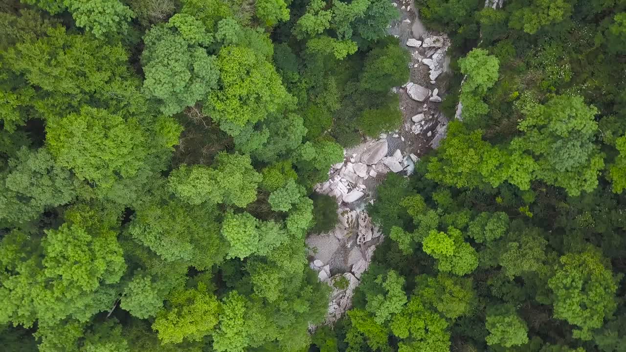 vista aérea de un arroyo forestal