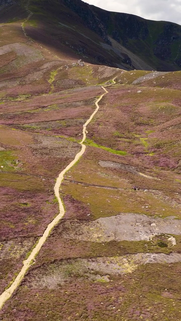Drone scivola sopra un sentiero tortuoso attraverso una valle di erica, rivelando un vasto e tranquillo paesaggio montano scozzese