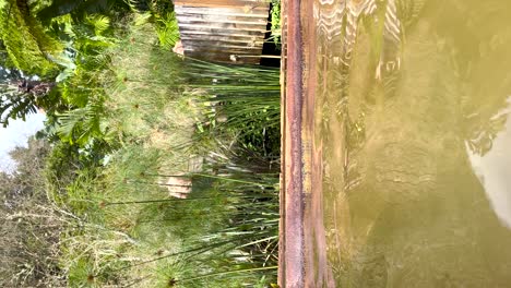 Vertical-view-of-a-thermal-spa-surrounded-by-nature-on-a-sunny-day