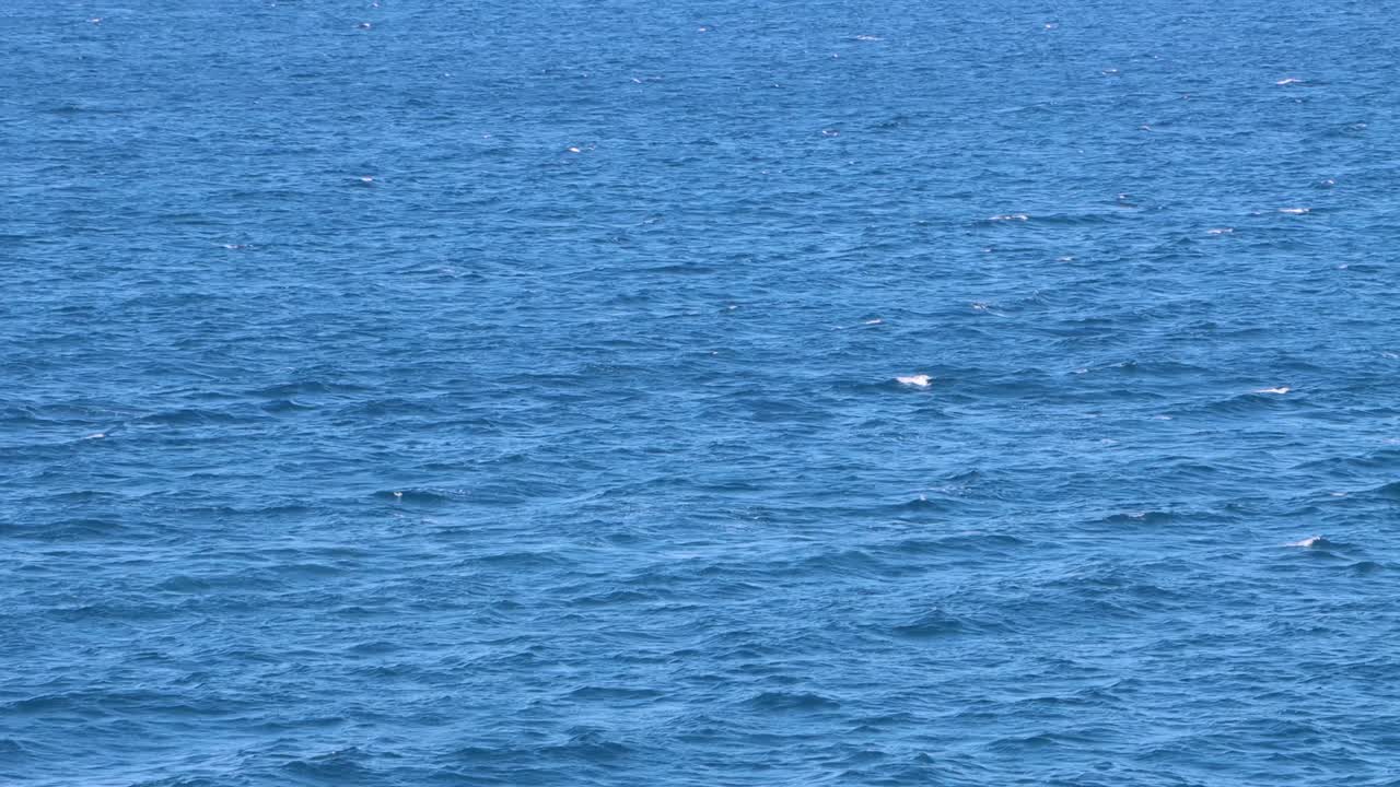 water blue ocean that dance in a professional footage