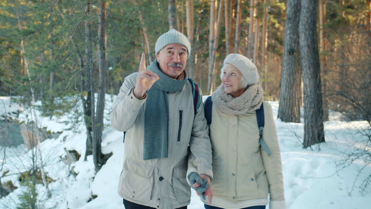 Elderly Couple Walking in Snowy Forest
