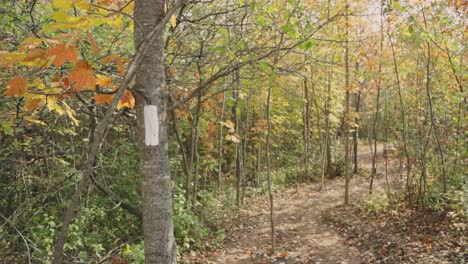 Winding-Road-In-Wilderness-During-Autumn-At-Cheltenham-Badlands-In-Caledon,-Ontario-Canada