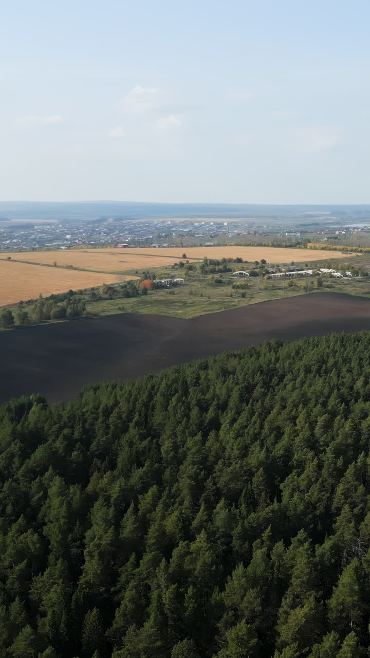 Aerial View of Forest, Field and Village