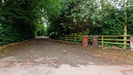 leafy driveway with brick wall and bins