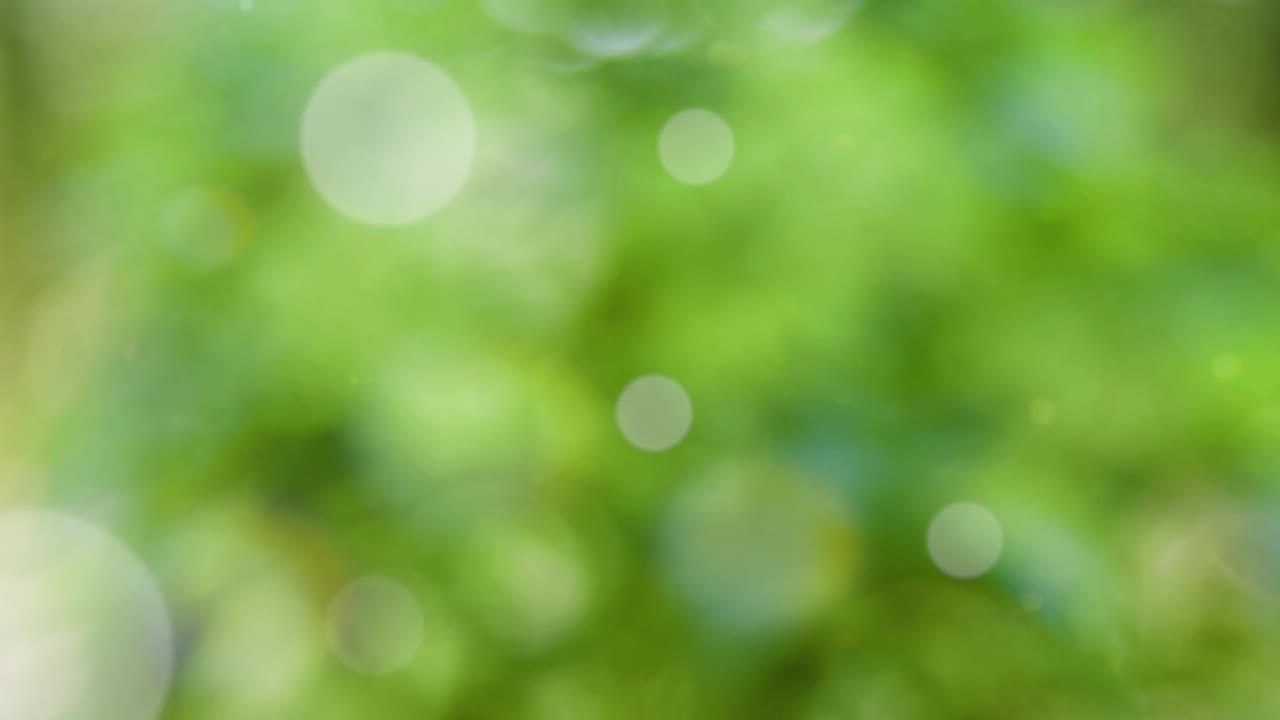 fondo de verano abstracto con bokeh