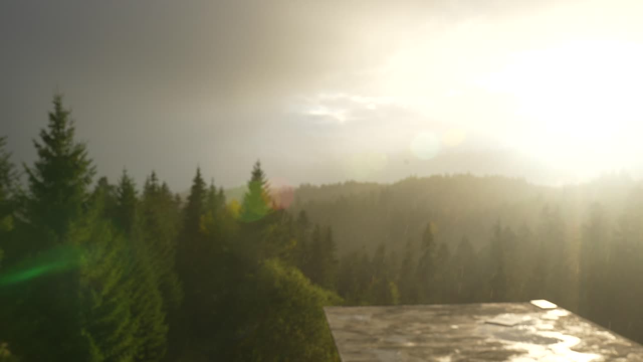 vista borrosa del bosque de montaña