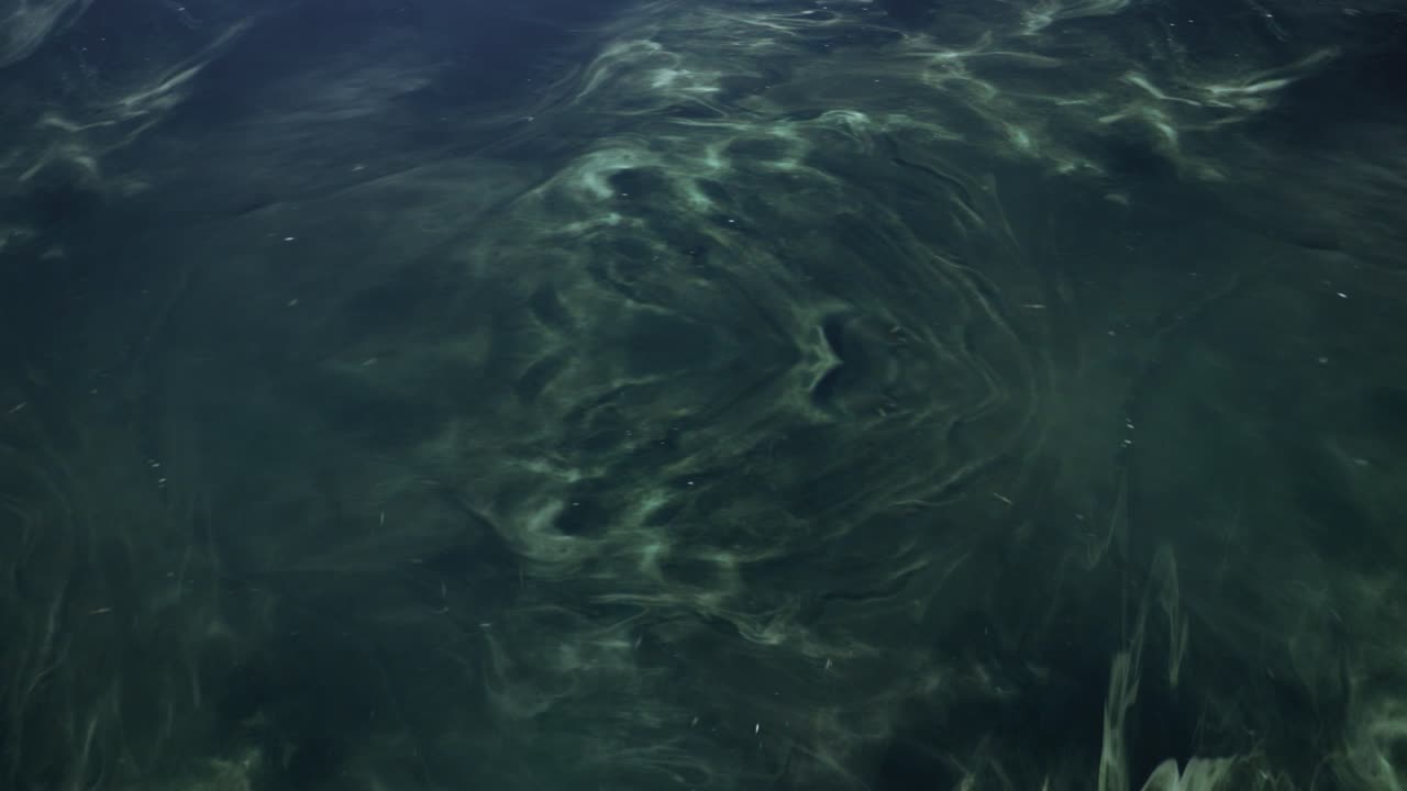 vuelo espacial 4k en un campo de estrellas en la nebulosa de orión