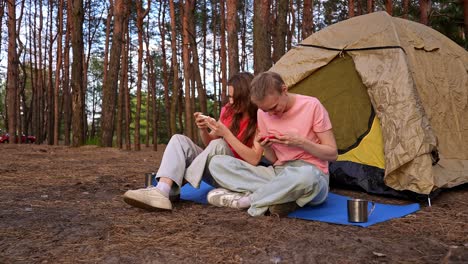 two friends camping and using mobile phones