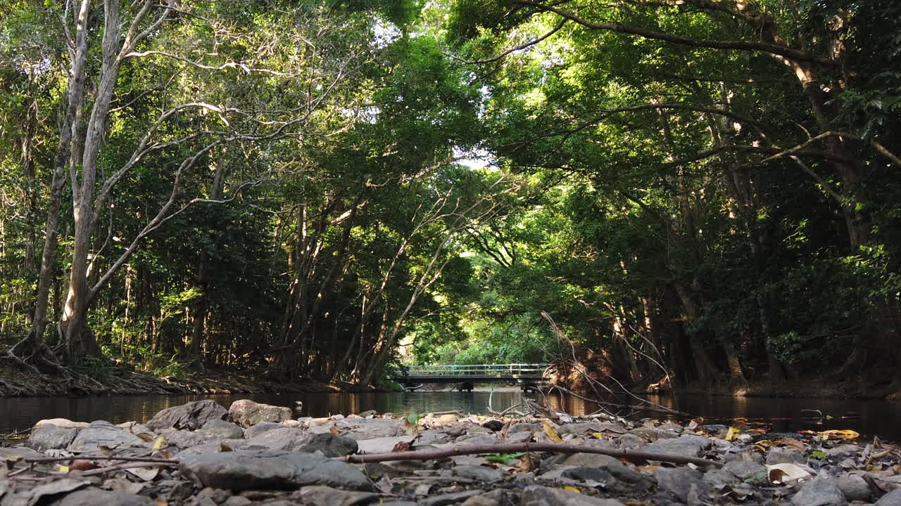 아름다운 하천의 전망을 내려다보는 남자