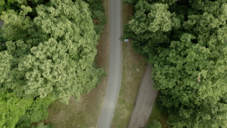 volando a lo largo de la carretera de asfalto de ciclistas para ciclistas a través de bosques o parques - vista aérea de arriba hacia abajo