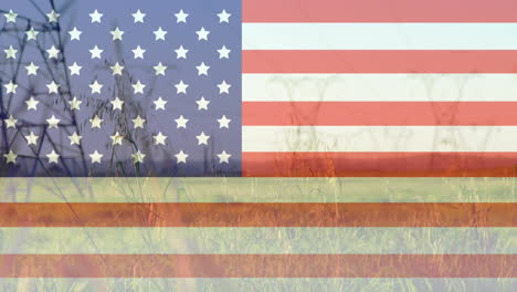 animation of american flag over tall grass blowing in field