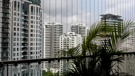 Leichter-Wind-Weht-über-Die-Blätter-Der-Areca-Palme-Auf-Dem-Hochhausbalkon