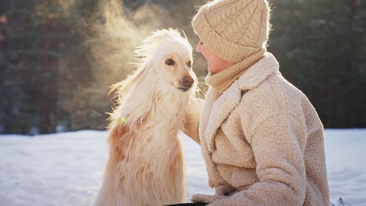 Woman and her Afghan Hound in a snowy forest