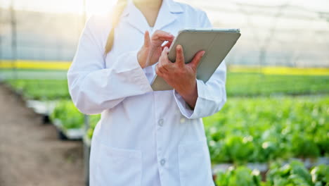 scientist using tablet in greenhouse