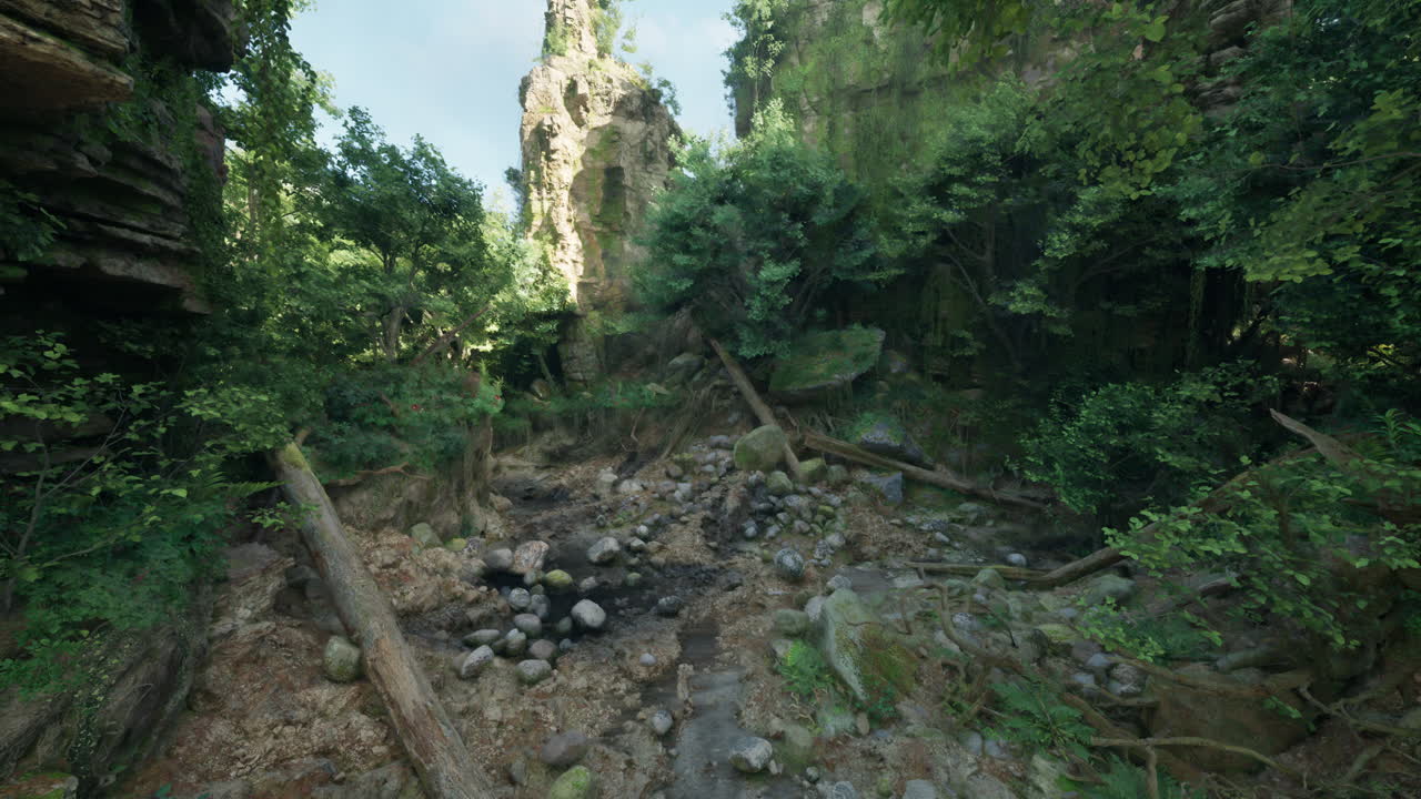 un bosque exuberante con un arroyo corriendo a través de él