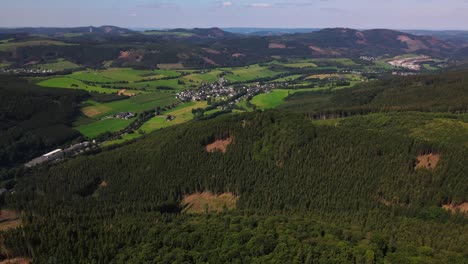 vista aérea, abetos en un paisaje montañoso