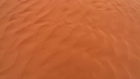 sahara desert that looks like martian landscape