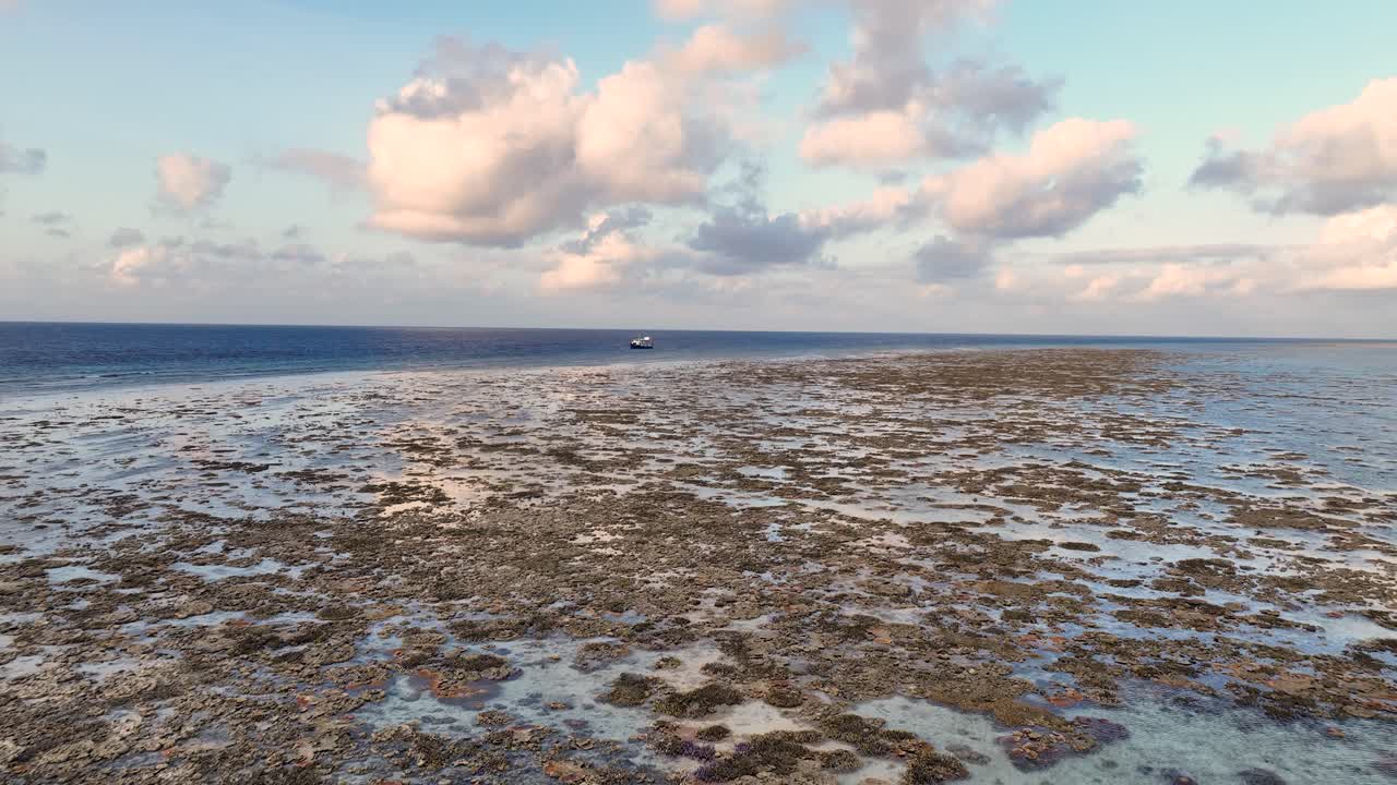 volando por encima de las llanuras de marea hacia un barco lejano en el mar al amanecer