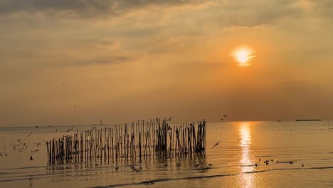 birds fly over water at sunset