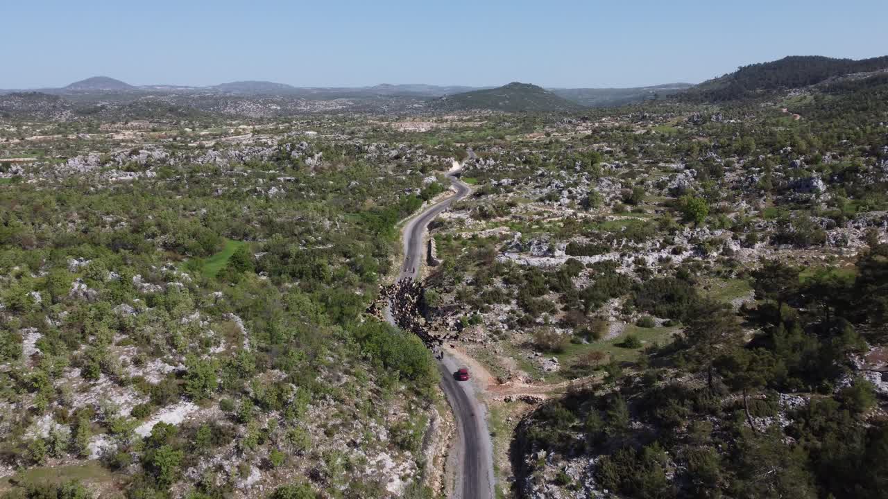 항공 뷰 goatherd 숲 도로