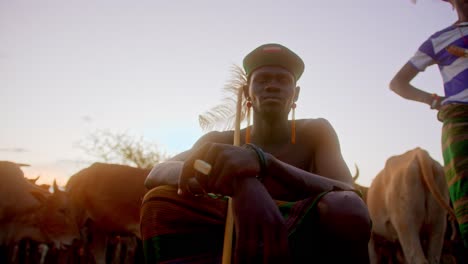 a traditional african warrior sits beside his cattle in karamoja, uganda, africa - close up
