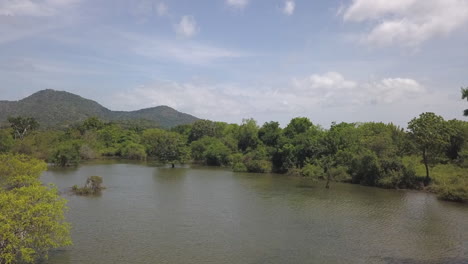 Aerial-flyover:-Men-paddle-outrigger-canoe-in-Sri-Lanka-swampy-wetland