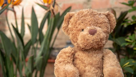 teddy bear in a garden setting