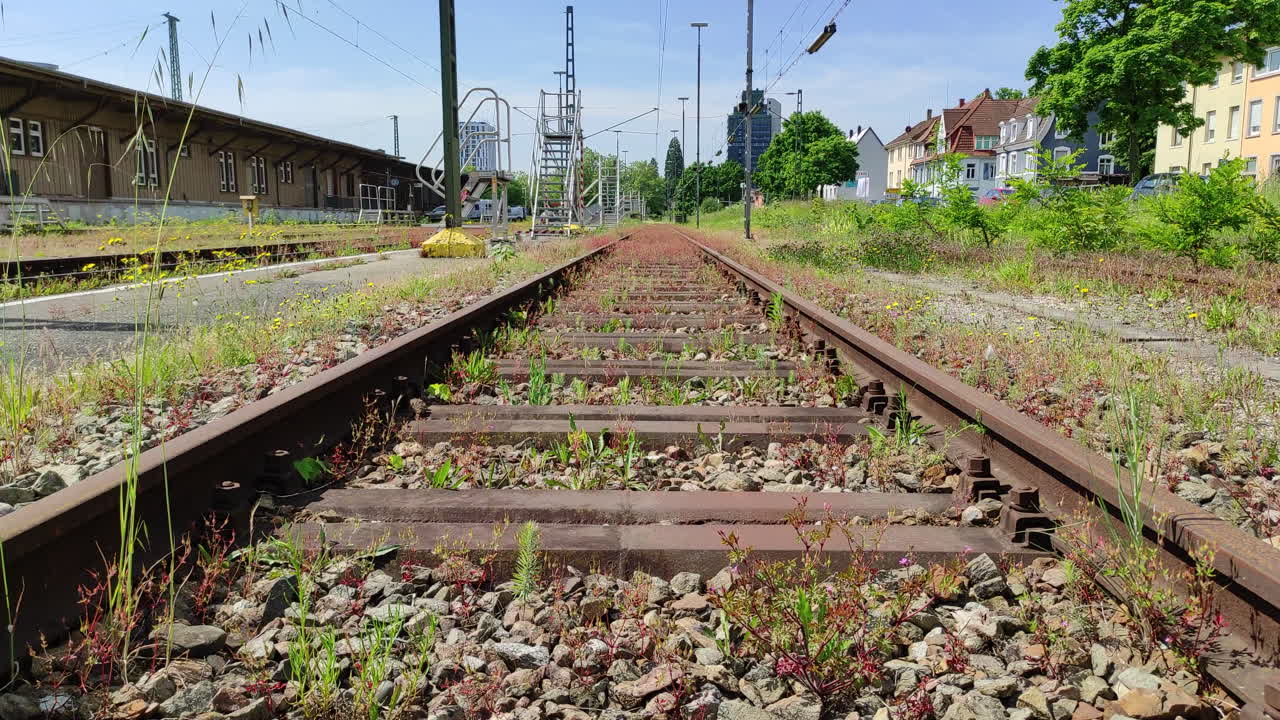 Plants growing on old railway tracks. Static shot in urban area in Germany.