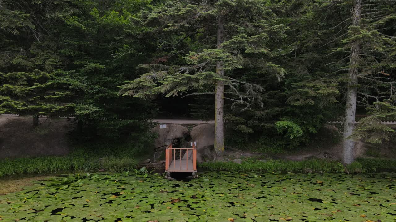 antena 1 de la cima de la colina del bosque natural de pinos