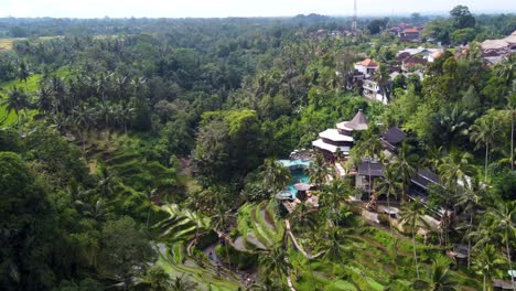 vista aérea del club de la selva de cretya con vistas a las terrazas de arroz en alas harum, bali