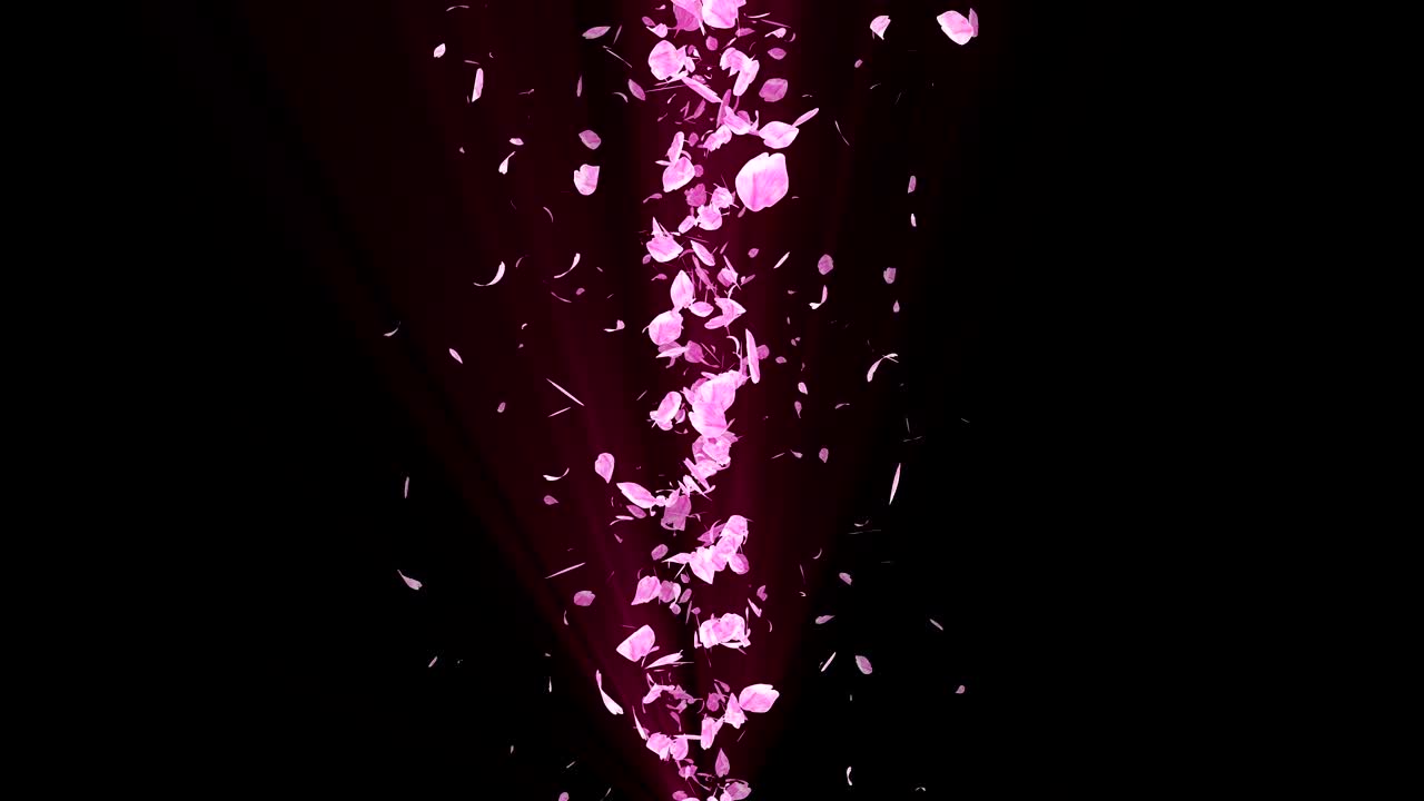 espiral partícula brillante de las flores de cerezo. patrón sakura. baile de cerezo japonés. vórtice de pétalos rosados. animación de bucle abstracto.