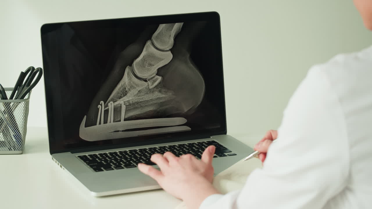Veterinarian reviewing horse hoof x-ray