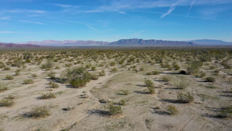 Volar-Sobre-El-Paisaje-Desértico-En-El-Oeste-De-Arizona,-Cerca-De-La-Frontera-Del-Estado-De-California