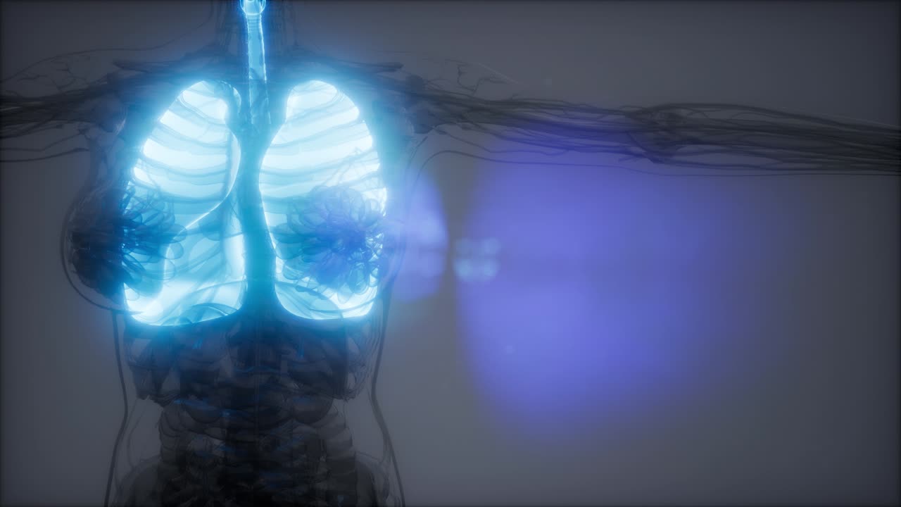 examen radiológico de los pulmones humanos