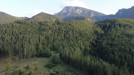 bosque negro de la baja austria cerca de semmering filmado con un avión no tripulado desde arriba en 4k durante el día de verano