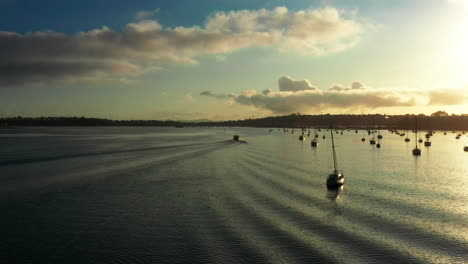 scenic seascape aerial view at auckland port at sunset and sailing yacht